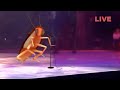 Dancing roach | Live in concert