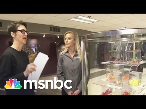 Rachel Maddow Shops For Pot | Rachel Maddow | MSNBC Rachel Maddow Shops For Pot | Rachel Maddow | MSNBC