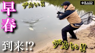 【早春の到来⁉︎ 】ため池巡りの旅でバイト連発‼︎ 日に日に状況が変化する、”冬”と”春”の間の釣り。RAIDJAPAN レイドジャパン　『バス釣り』