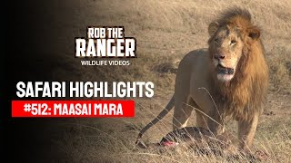 Safari Highlights #512: 04th December 2018 | Maasai Mara/Zebra Plains | Latest #Wildlife Sightings