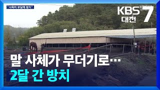 말 사체가 무더기로…2달 간 방치 / KBS  2024.10.15.