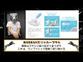 amazon ブラックフライデー攻略！絶対買うべき「猫用お手入れ用品」オススメ7選！これでセール対策はバッチリ、損しない、失敗しない！【アマゾンブラックフライデー】