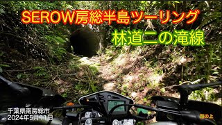 SEROW touring on the Road 林道二の滝線( 安房中央ダム周辺) 　2024年5月18日 千葉県南房総市 Ninotaki line #japan #offroad