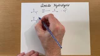 Amide Hydrolysis