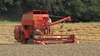 Fahr M66 | Harvesting Grain | Graan dorsen | Eifel | Duitsland | 2014