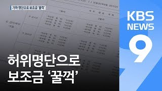 [끈질긴K] 고양이한테 생선을? 허위명단으로 보조금 ‘꿀꺽’…아무도 몰랐다 / KBS뉴스(News)