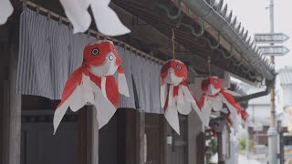 どき生百景vol１７金魚が泳ぐ白壁の町（柳井市）