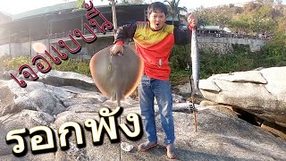 ตกปลาชายฝั่งเจอฉลามไหม  เจอแบบนี้รอกพังเลย  Saen Fishing