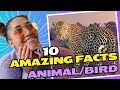 10 Interesting Facts about Animal/Bird / The FactVault