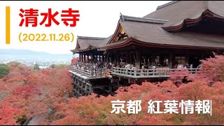 【京都 紅葉情報2022 11 26 】見頃の紅葉スポット 清水寺