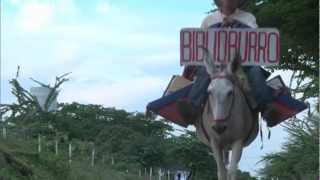 Donkey-Backed 'Biblioburro' Delivers Books to Thousands across Colombia Part 2