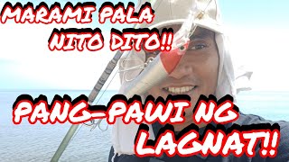 😯🫡 MARAMI PALA NITO DITO:  PAMPAWI NG LAGNAT, SARIWANG PANG-SABAW SA MALUNGGAY!! #fishing #fish