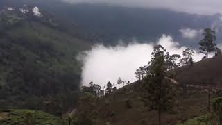 കോടമഞ്ഞ് മൂടുന്ന. Munnar