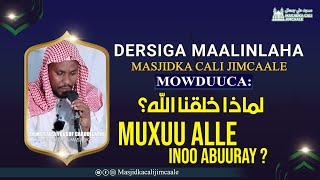 Muxuu Alle inoo abuuray ? || Dersiga maalinlaha ah || Sh Mustafa Yuusuf Cabdullaahi