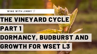 WSET Level 3 Wines - Understanding the Vineyard Cycle Part 1
