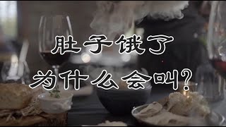 【人体的奥秘】肚子饿了为什么会叫？