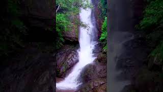 Kadappara Waterfalls: An Epic Adventure to Embrace Mother Nature's Beauty #palakad