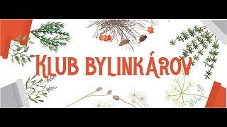 Klub bylinkárov -  medovka lekárska