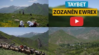 TAYBET - ZOZANÊN EWREK / ELKÊ