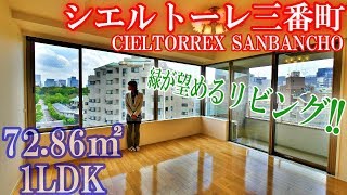 【シエルトーレ三番町】内見動画 1LDK 72.86㎡