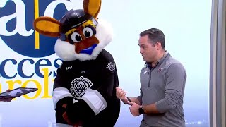 Stomper's Birthday and more fun with the Greenville Swamp Rabbits