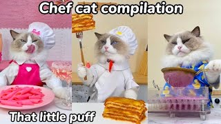 That Little Puff Chef Cat Compilation