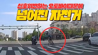 16236회. 신호위반하는 오토바이 피하려다 넘어졌는데 그냥 간다?