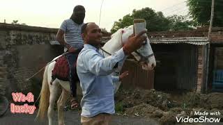 Lockdown 3, nature baikunthpur deoria.