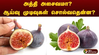 அத்தி அசைவமா? ஆய்வு முடிவுகள் சொல்வதென்ன? | Fig | Non -Vegetarian