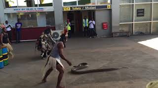 Dar es Salaam Airport Snake