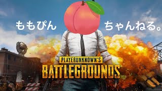 【PS4 版PUBG】ドン勝目指すマン！！【女性配信】