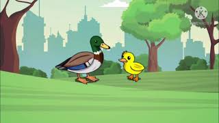 And now ducks!