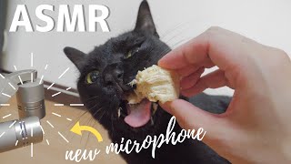 【ASMR】サクサクチキンの猫の咀嚼音 Cat Reviewing freeze dried chicken ASMR