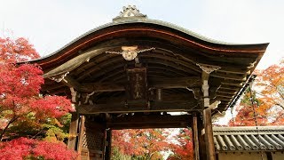 Yajiさんの京都 秋の紅葉 嵐山 二尊院【Kyoto,Arashiyama Nison-in temple】