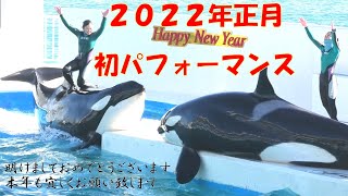 ２０２２年正月初鴨シー、　鴨川シーワールド「2022/01/03」13:00～