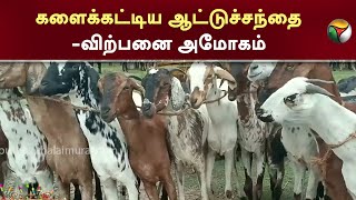 களைக்கட்டிய ஆட்டுச்சந்தை - விற்பனை அமோகம் | Ulundurpet | Goat | Goat Market | PTT