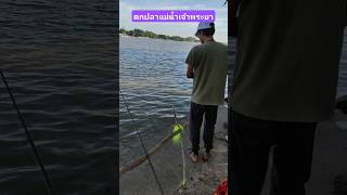 ตกปลาแม่น้ำเจ้าพระยา #ตกปลา #fishing #ตกปลาหน้าดินหมายธรรมชาติ #ตกปลาหมายธรรมชาติ #fish