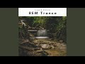 Journey of REM Garden Tune and Brain Replenish