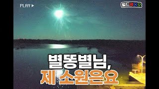 [월드비디오] 강렬한 푸른빛! 🌠 별똥별 순간포착