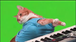 كروما خضراء قط مضحك . Green chroma is a funny cat🤣🤣🤣