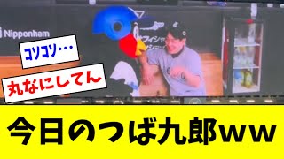 【今日のハイライト】つば九郎さん、オールスターで暴れまくるｗｗｗｗ