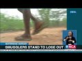 Beitbridge border smugglers stand to lose out