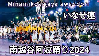 【いなせ連(流し踊り)】『見てて💫心が躍りました』南越谷阿波踊り2024(2024.8.25)南越谷・阿波踊り・awaodori・japan・japanesefestival