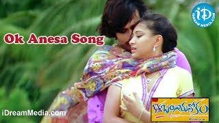 Ok Anesa Song - Kotha Bangaru Lokam Movie Songs - Varun Sandesh - Shweta Prasad