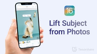 iOS 16 Photo Cutout: How to Lift Subject from Photos or Videos on iPhone/iPad