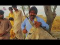 petrol mahango kheere ji gadah de merr sindhi comedy