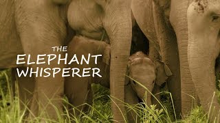 The Elephant Whisperer Official Trailer: The Man Who Tamed The Beasts