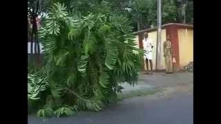 Morning shots of after Cyclone Phailin hit Odisha, AP