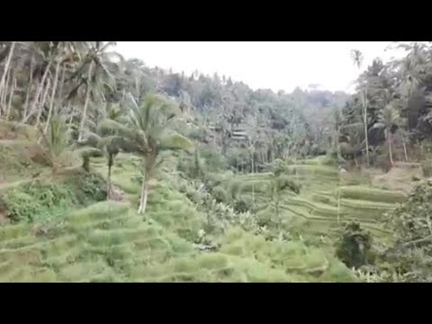 Our last video in Bali - GCITS Business Update #34 Our last video in Bali - GCITS Business Update #34