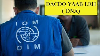 DHACDO YAAB LEH  Qoyska Sponsor DNA lugu kala reebay